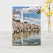 Monuments | Washington Memorial Karte (Gelbe Blume)