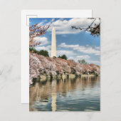 Monuments | Washington Memorial Postkarte (Vorne/Hinten)