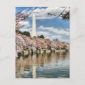 Monuments | Washington Memorial Postkarte (Vorderseite)