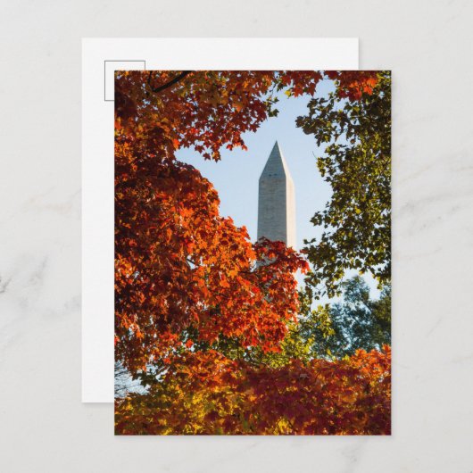 Monuments | Washington Monument in Autumn Postkarte (Vorne/Hinten)