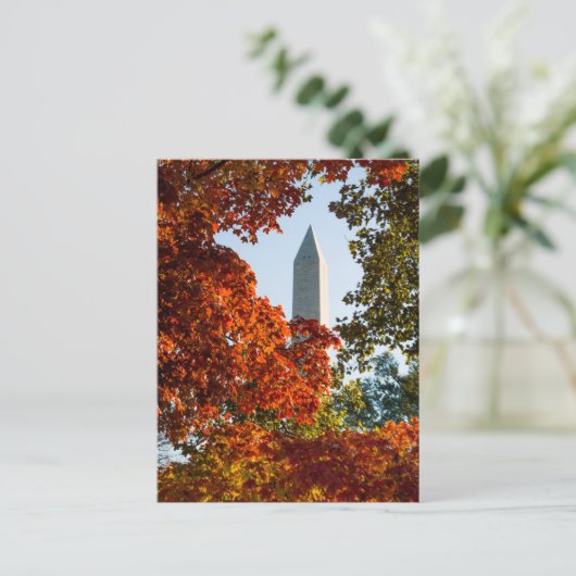 Monuments | Washington Monument in Autumn Postkarte (Stehend Vorderseite)
