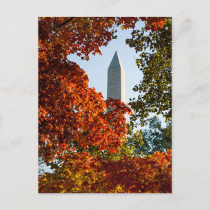 Monuments   Washington Monument in Autumn Postkarte