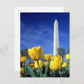 Monuments | Washington Monument in Spring Postkarte (Vorne/Hinten)
