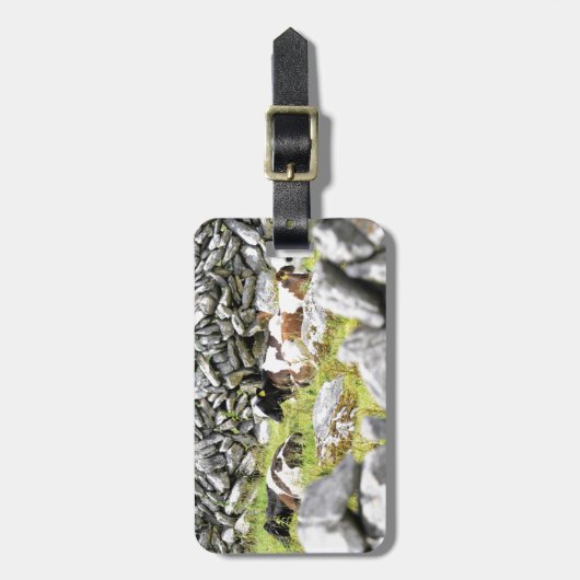 Moo Cows Gepäckanhänger (Vorderseite vertikal)