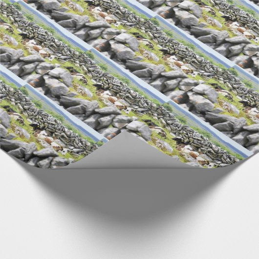 Moo Cows Geschenkpapier (Ecke)