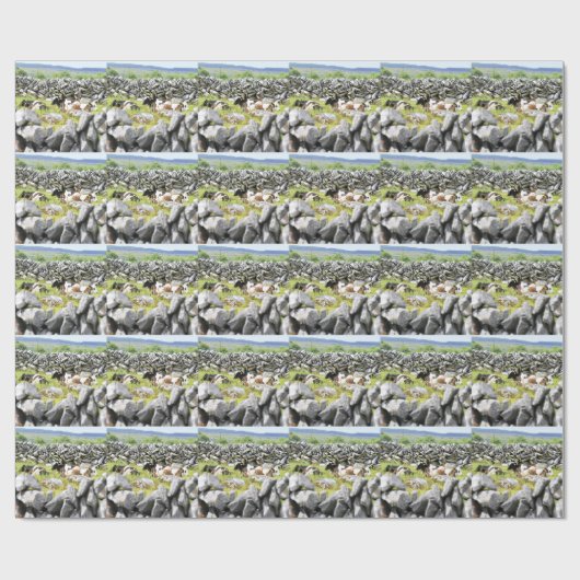 Moo Cows Geschenkpapier (Flach)