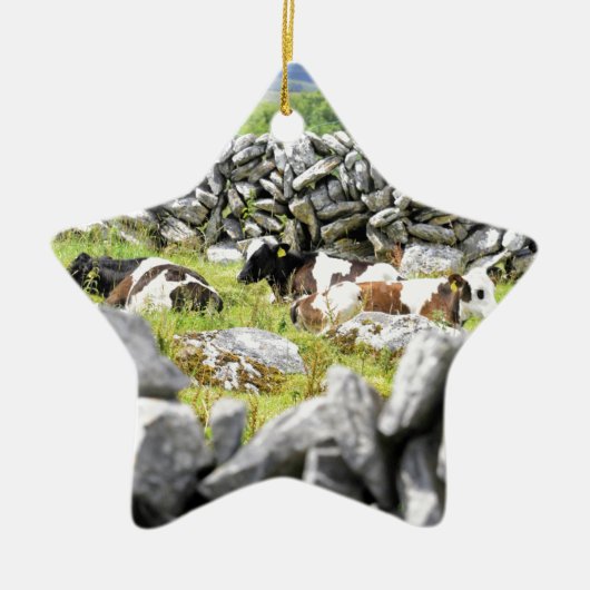 Moo Cows Keramikornament (Vorne)