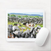 Moo Cows Mousepad (Mit Mouse)