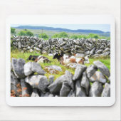 Moo Cows Mousepad (Vorne)