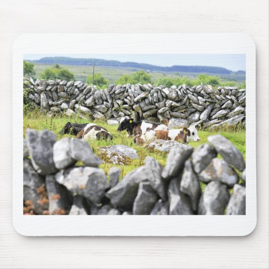 Moo Cows Mousepad (Vorne)