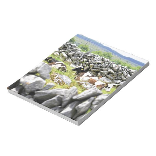 Moo Cows Notizblock (Rotiert)