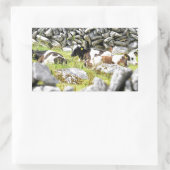 Moo Cows Rechteckiger Aufkleber (Tasche)