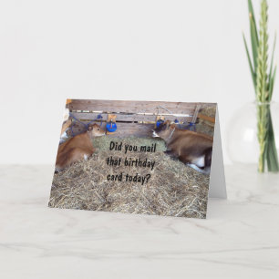 MOO COWS SPRECHEN ÜBER IHREN GEBURTSTAG-WÜNSCHEN KARTE