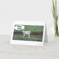 MOO, DER DIE COW ODER BOO HEIM 30. GEBURTSTAG SAGT