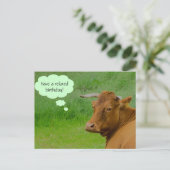 Moo! Niedliche Kuh wünscht eine entspannte Geburts Postkarte (Stehend Vorderseite)