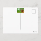 Moo! Niedliche Kuh wünscht eine entspannte Geburts Postkarte (Rückseite)