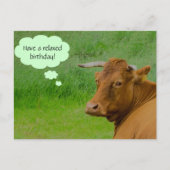 Moo! Niedliche Kuh wünscht eine entspannte Geburts Postkarte (Vorderseite)