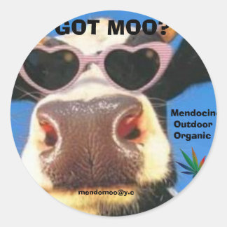 MOO POT STICKER GOT