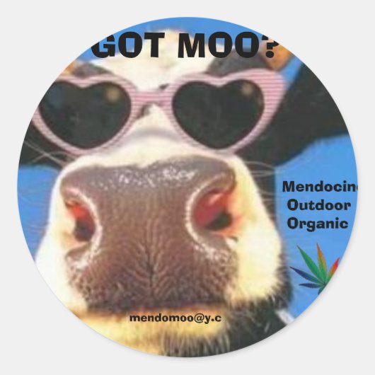 MOO POT STICKER GOT (Vorderseite)