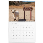 Moochi der Minikalender der kuh-2018 Kalender (Mär 2026)