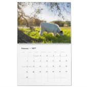Moochi der Minikalender der kuh-2018 Kalender (Feb 2027)