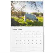 Moochi der Minikalender der kuh-2018 Kalender (Feb 2026)