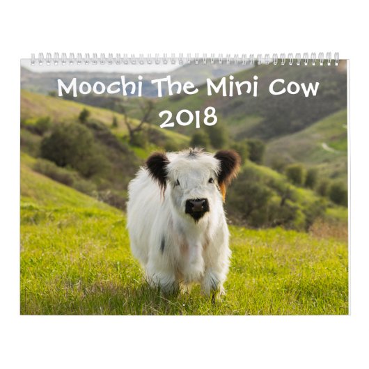 Moochi der Minikalender der kuh-2018 Kalender (Titelbild)