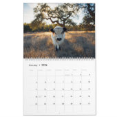 Moochi der Minikalender der kuh-2018 Kalender (Jan 2026)