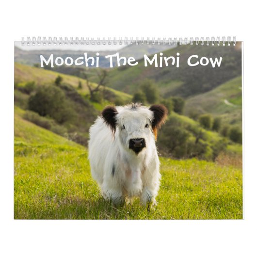 Moochi der Minikuh-Kalender Kalender (Titelbild)