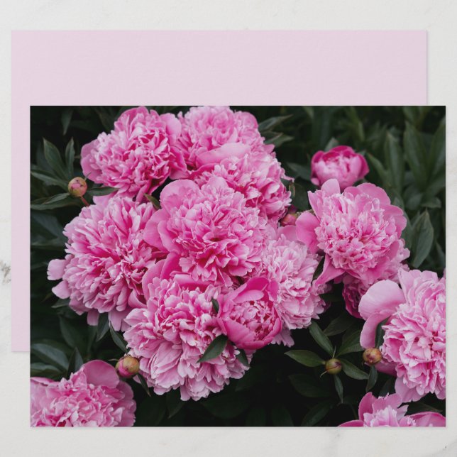 Moody and elegant pink peony  Scrapbook Paper (Vorne/Hinten)