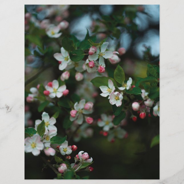 Moody apple tree blooms Scrapbook Paper (light) (Vorderseite)