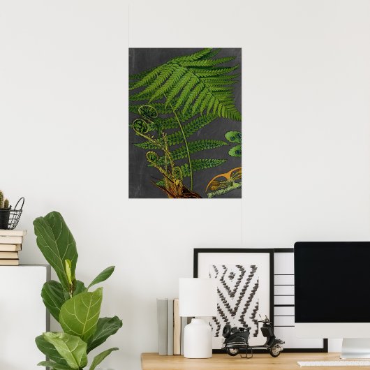 Moody Art Fern mit Chalkboard Background Nr. 8 Poster (Heimbüro)