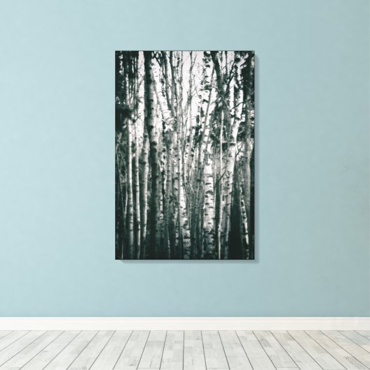 Moody Birch Trees in Forest Monochrome Leinwanddruck (Insitu (Holzboden))