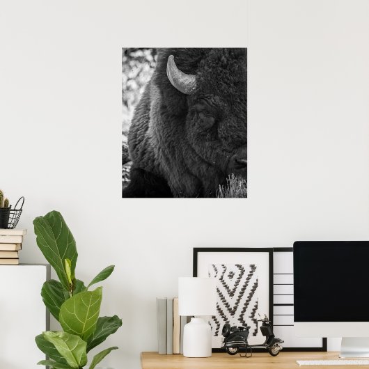 Moody Bison Buffalo Schwarz-weiß Poster (Heimbüro)