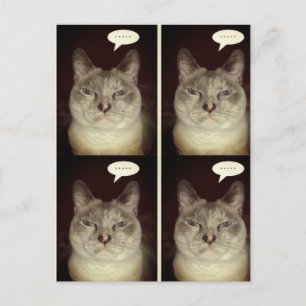 Moody Cat Postkarte