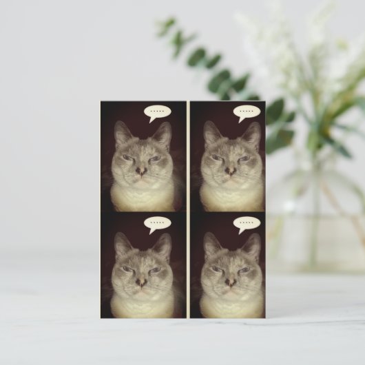 Moody Cat Postkarte (Stehend Vorderseite)