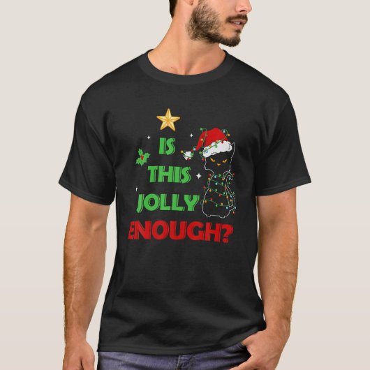 Moody Cat Weihnachtsleuchten ist das Jolly genug? T-Shirt (Vorderseite)