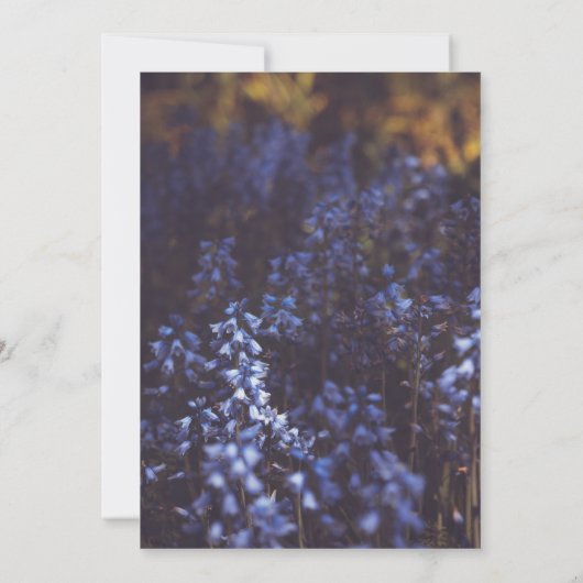 Moody Dark Rustic Lila Blume Field Wedding Einladung (Rückseite)