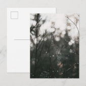 Moody Forest Dew Spider Web Postkarte (Vorne/Hinten)