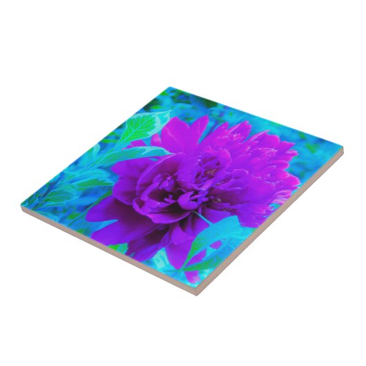 Moody Lila Peony mit Beautiful Weigela Foliage Fliese (Seite)