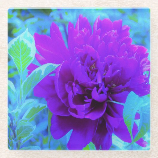 Moody Lila Peony mit Beautiful Weigela Foliage Glasuntersetzer (Vorderseite)