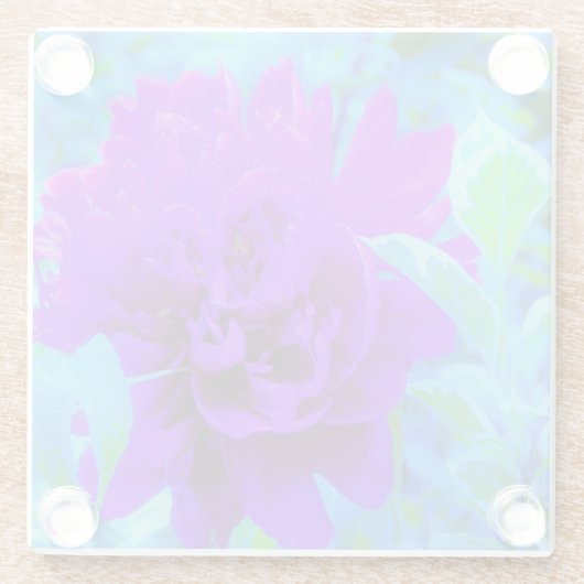 Moody Lila Peony mit Beautiful Weigela Foliage Glasuntersetzer (Rückseite)