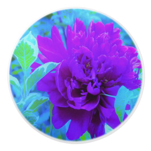 Moody Lila Peony mit Beautiful Weigela Foliage Keramikknauf (Vorderseite)