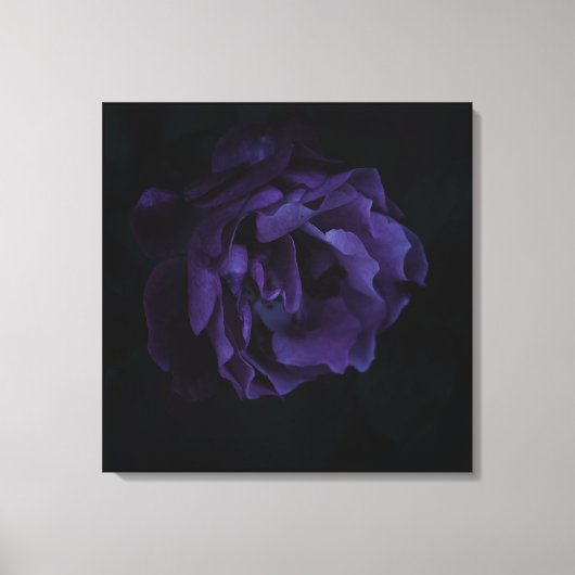 Moody Lila Rose Leinwanddruck (Vorderseite)