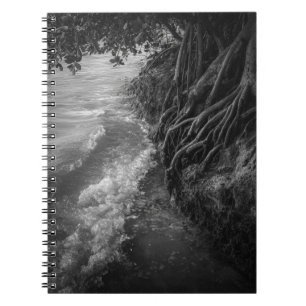 Moody Mangrove Roots Black and White Foto Notizblock