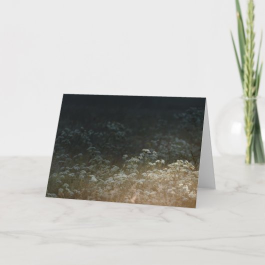 Moody meadow karte (Vorderseite)