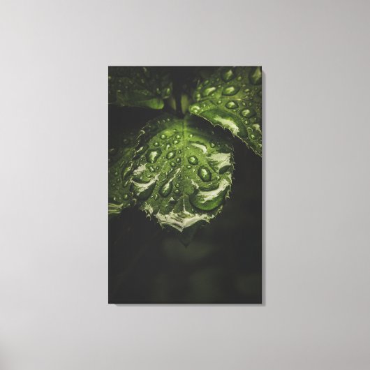 Moody Morning Dew Canvas Druckkunst Leinwanddruck (Vorderseite)