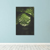 Moody Morning Dew Canvas Druckkunst Leinwanddruck (Insitu (Holzboden))