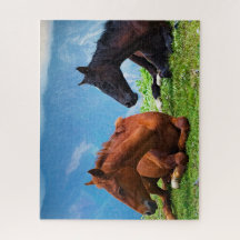 Moody Mountain Horses: Ein Fine-Art-Reise-Puzzle.