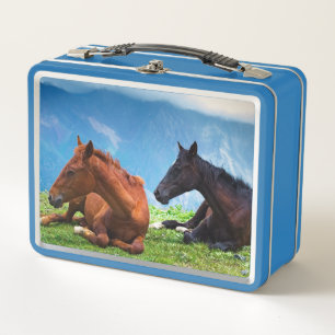 Moody Mountain Horses: Eine Reise in die feine Kun Metall Brotdose